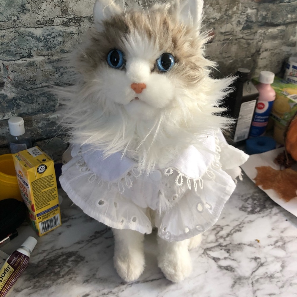 stuffed toy